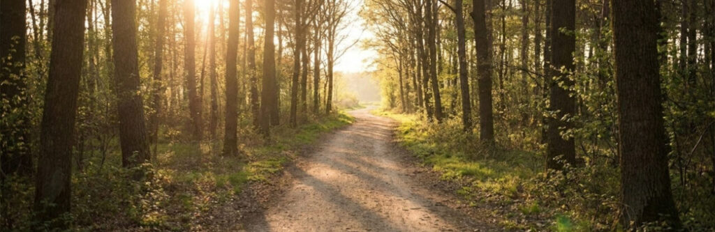 Header 3